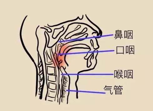 你好,你已被移入"咽炎群"!_湖北科技学院附属耳鼻喉