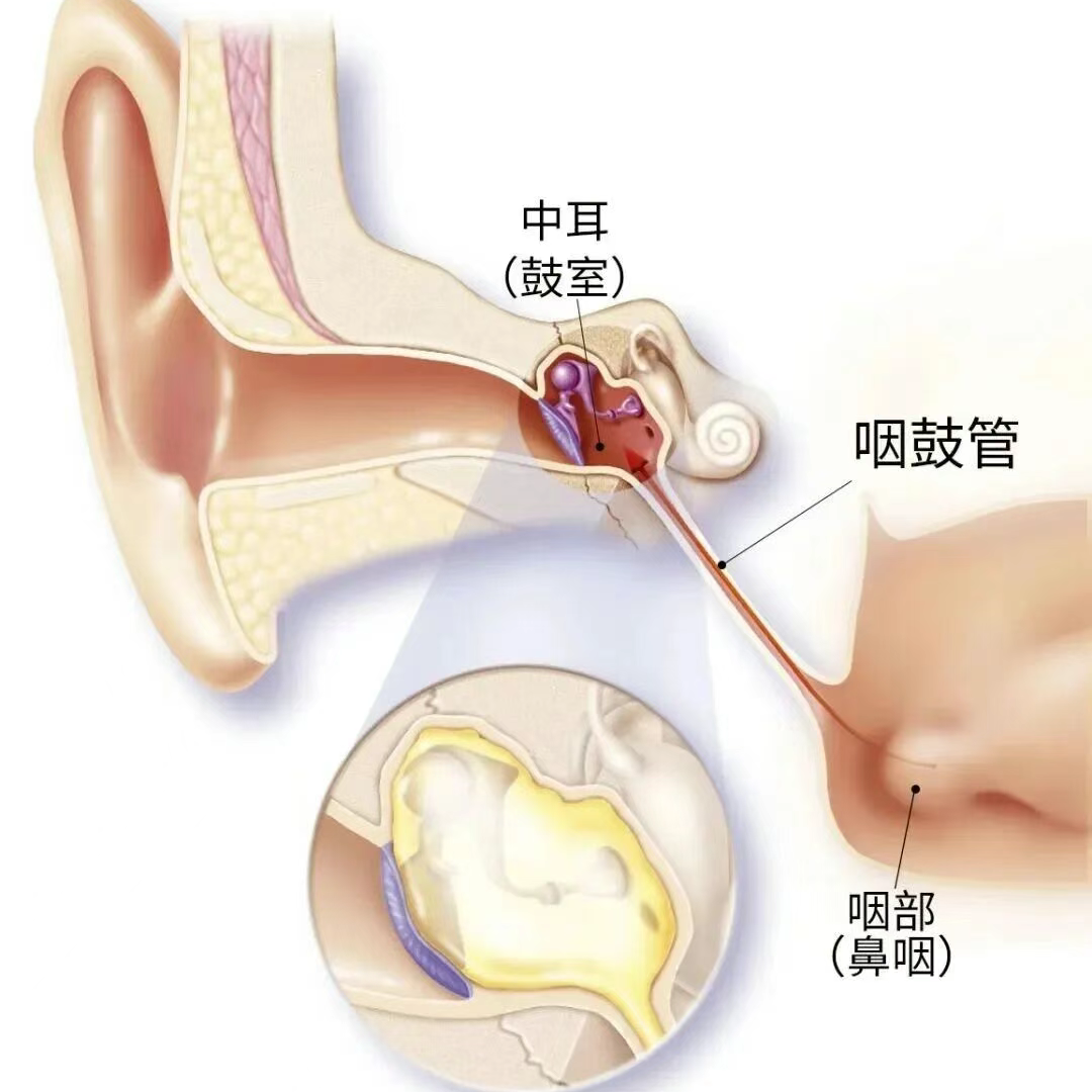 �����ƶ¡���ˮ�������壿ҽ�����ѣ��������ж��ױ�����