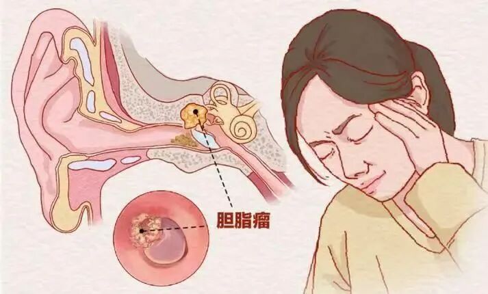 微信图片_20250730144726.jpg