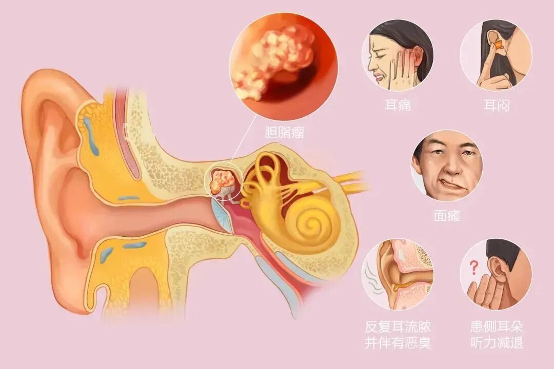 微信图片_20250730143509.jpg