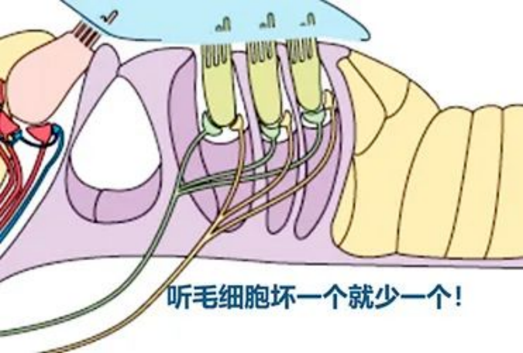 微信图片_2025-08-22_102713_194.png