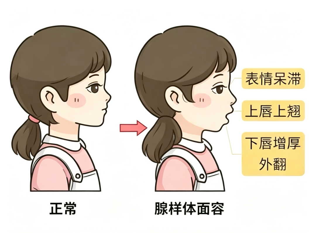 ff220c2b94c8ef27eec1c74baf307a81.png