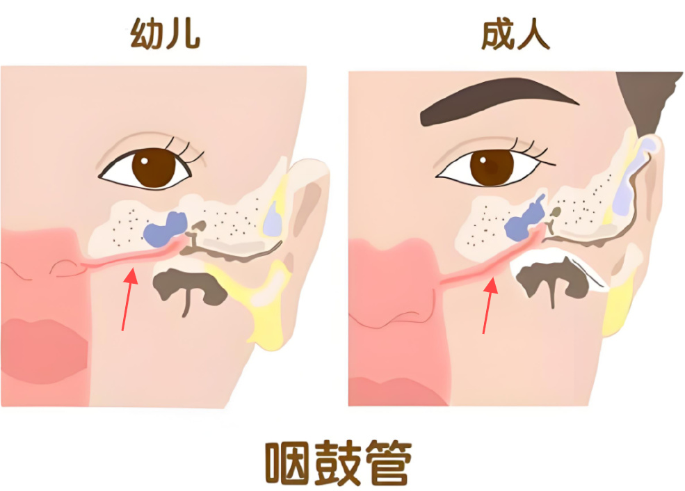 c7ab16eb98fbf20cdcd201fa0b3a693c.png