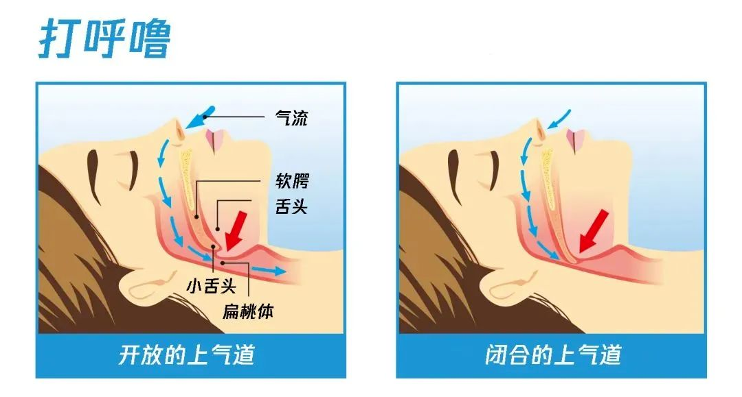 微信图片_2025-08-15_144129_131.png