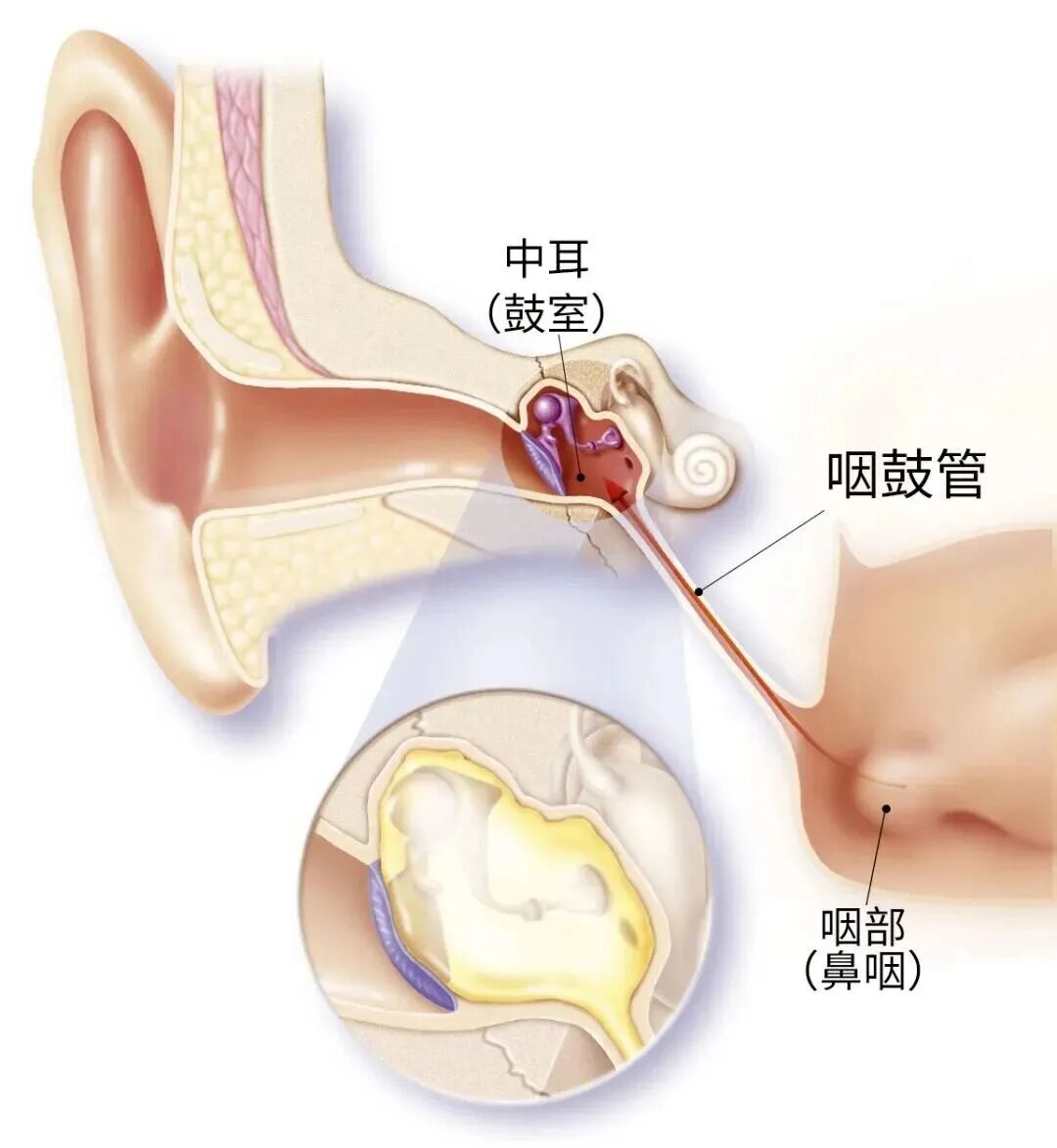 微信图片_2026-07-22_105321_384.jpg