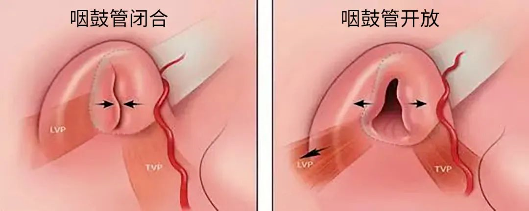 微信图片_2026-07-23_103724_300.png