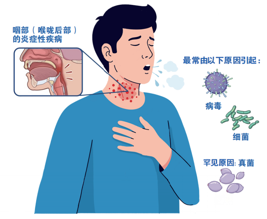微信图片_2026-07-28_091714_807.png