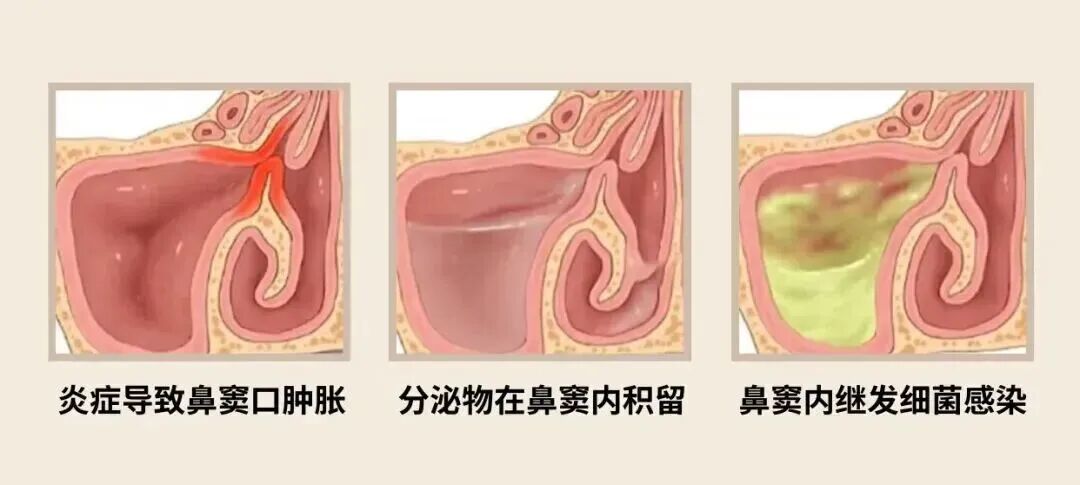 微信图片_2026-07-29_091755_679.jpg
