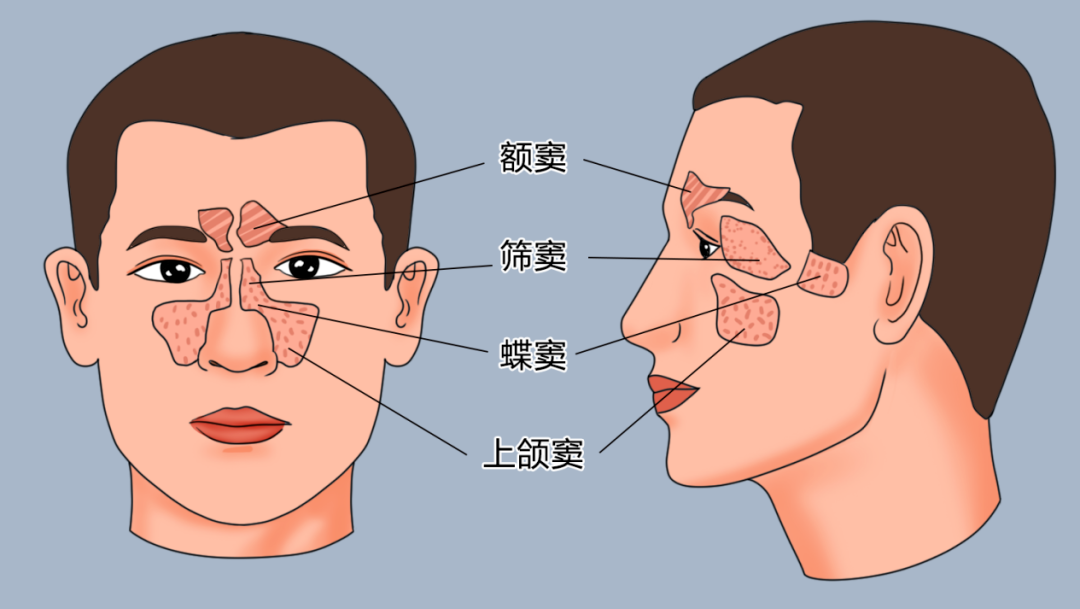 dad07ac40dbacf3769c0384ccb86fea7.png
