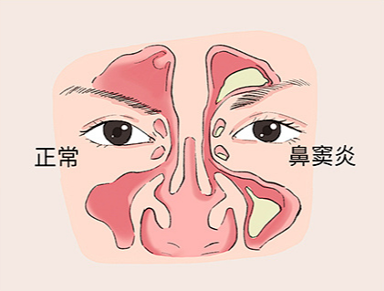 微信图片_2026-08-22_104920_454.png