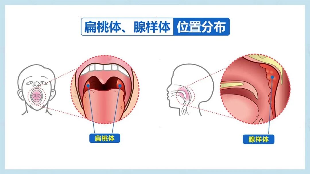 微信图片_2026-08-29_104235_595.jpg
