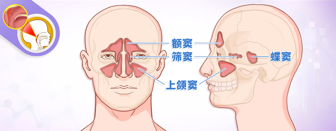 微信图片_20250805125255.png
