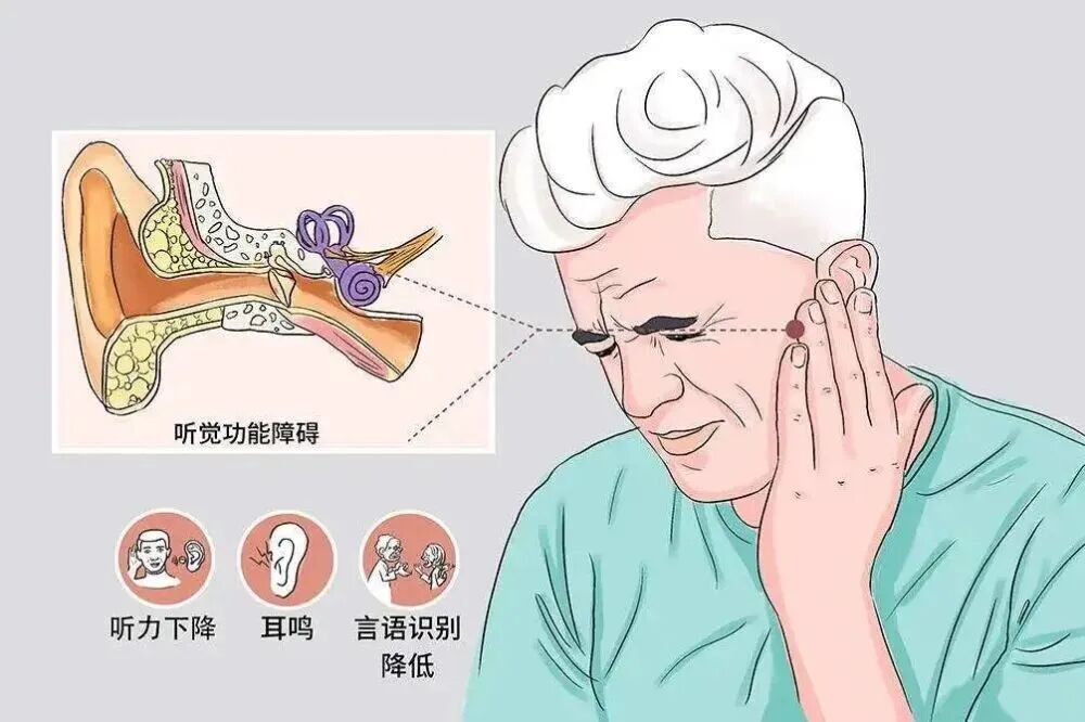 微信图片_2025-10-28_164040_081.jpg