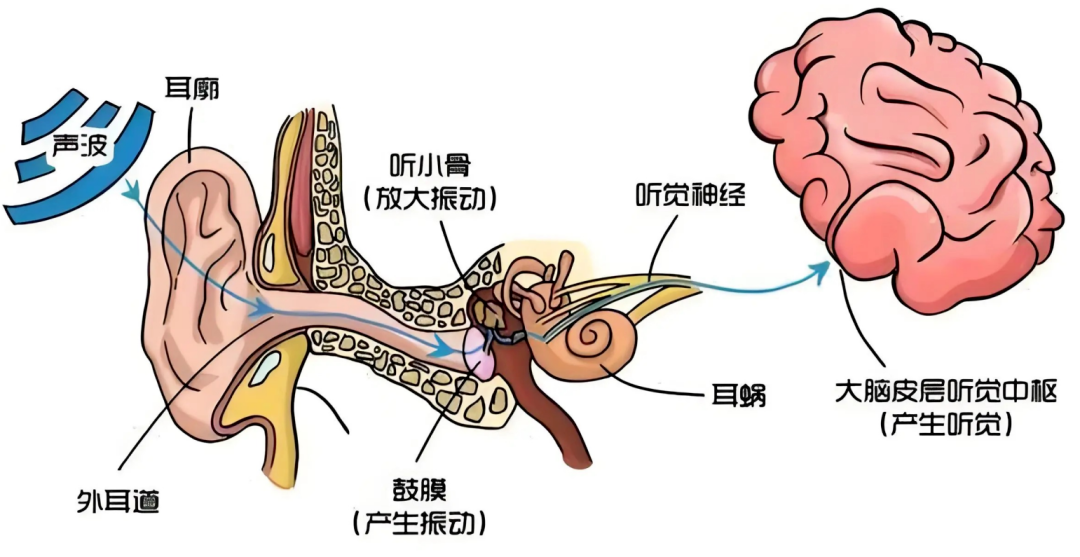 wechat_2025-09-23_170609_048.png