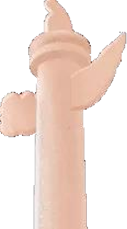 ͼƬ