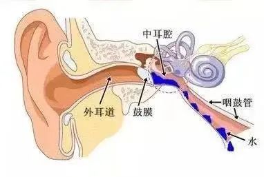 ͼƬ