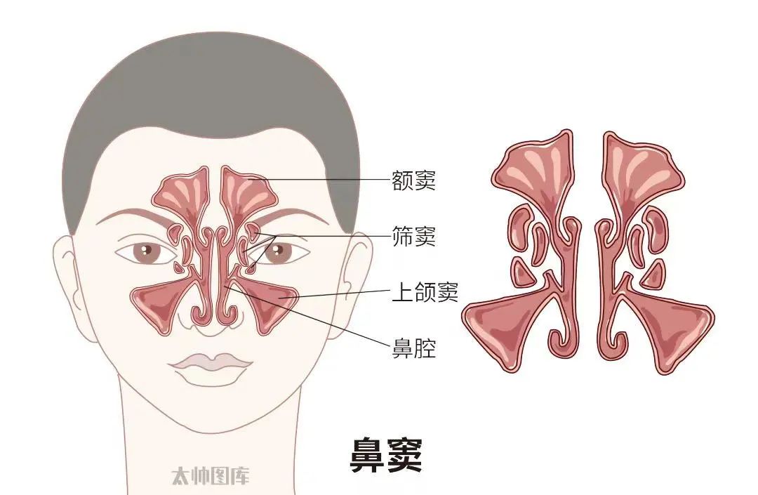 ͼƬ