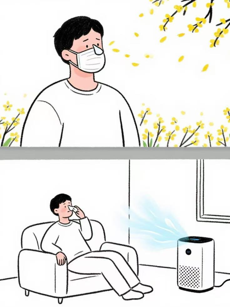 ͼƬ